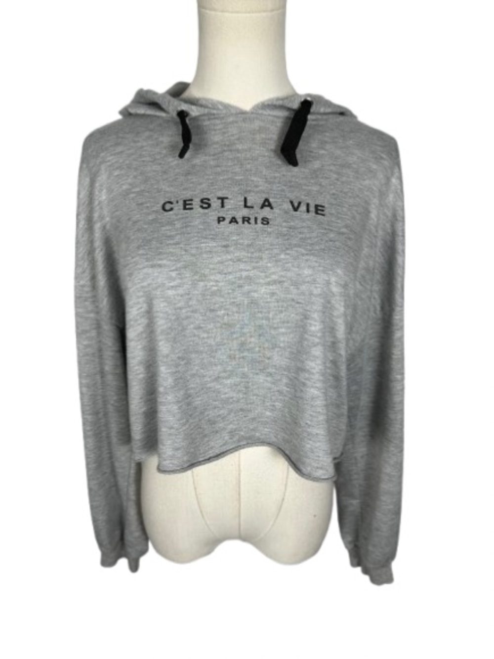 Paris Women's Gray Cropped Hoodie Size S